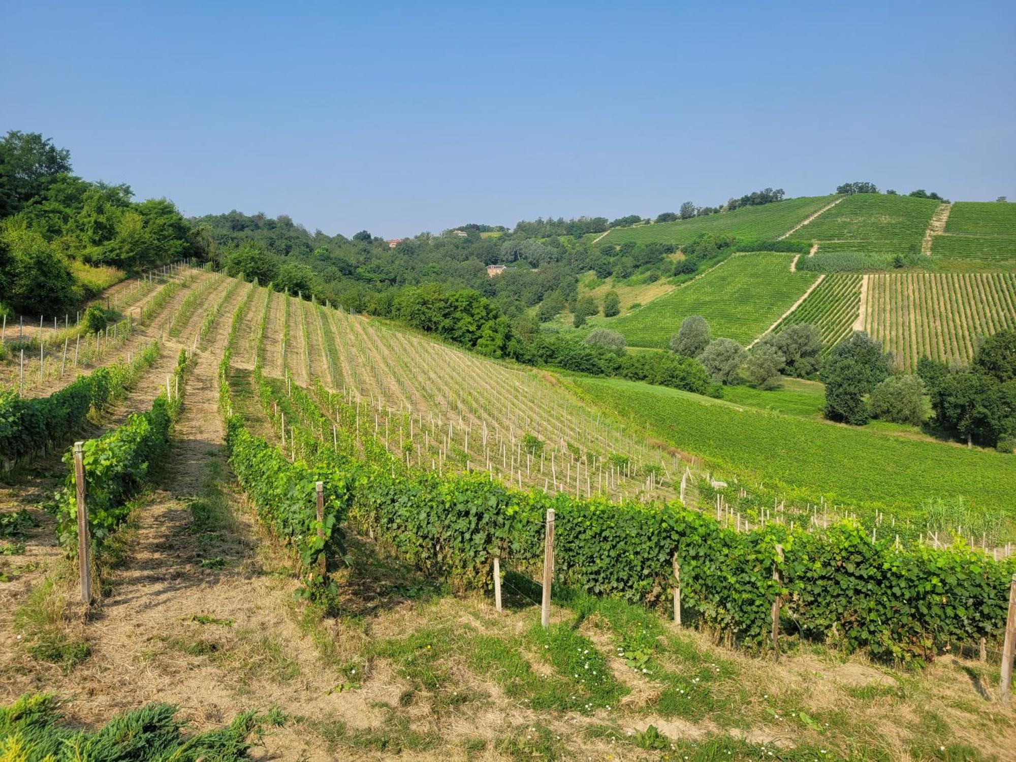 Cascina Allegria Castelnuovo  Bagian luar foto